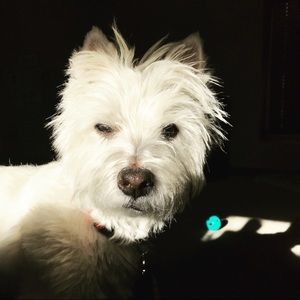 Meet your Posher, Kathleen